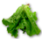 листья зеленого салата